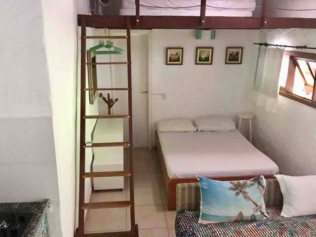 Casa Mico Leão Dourado