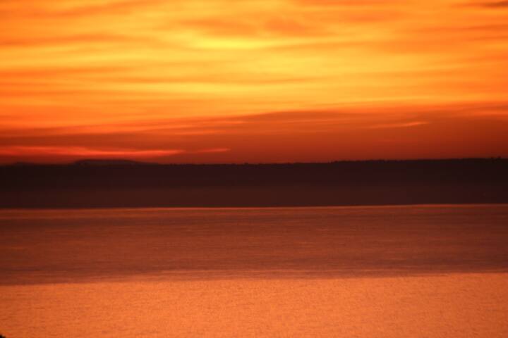 Villa Clausen – Pool Villa – Portals gallery image 3