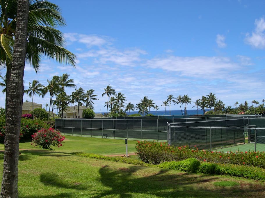 Tennis courts for our guests, small court fee applies