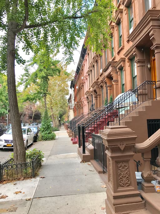 Historical Brownstone streets
