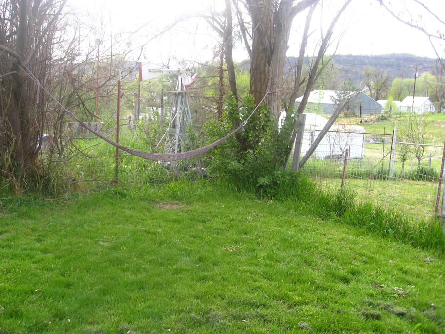 The hammock at the front of the house.