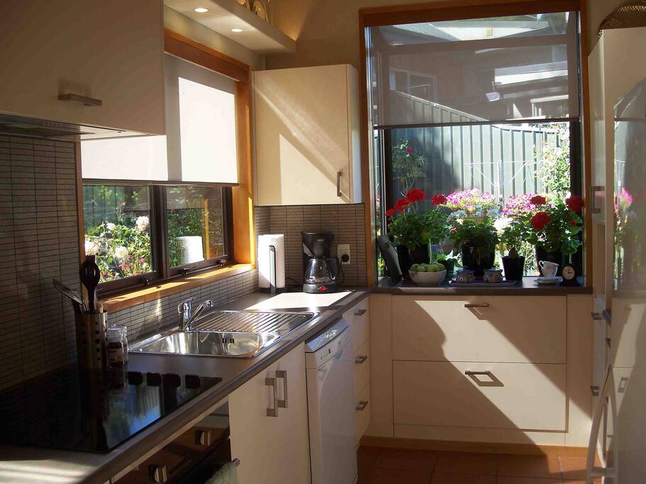 modern kitchen