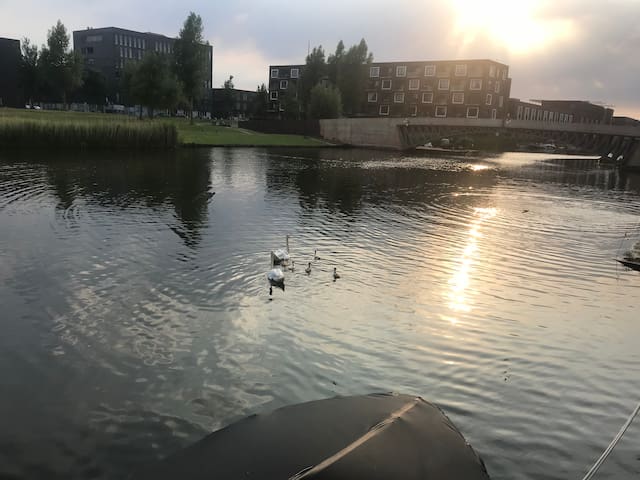 Lovely spacious waterfront home with garden!