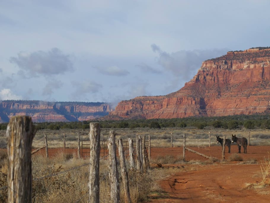 Upstairs Queen Bed + Futon, Private Bathroom, View Houses for Rent in Kanab, Utah, United States