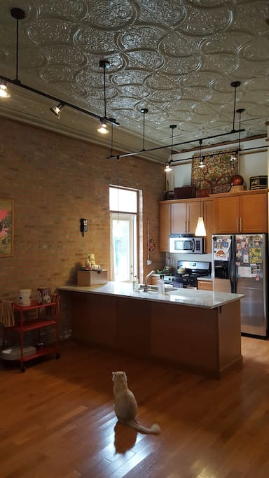 Kitchen area