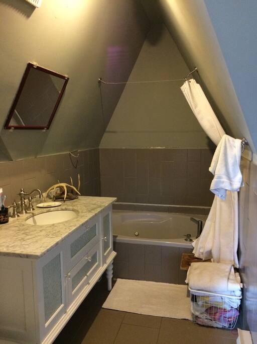This is a bathroom, but could also be called a toiletroom or a sinkroom.
It is not a standing-shower-room though, our old timey bath has a handheld showerhead if you'd like to do a sitdown shower, otherwise there's a regular shower in the other bathroom.