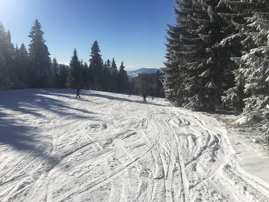 Alpen-, Jura und Vogesen: alles vom Stübenwasenlift aus zu sehen! Winter pur in 1200 m Höhe.