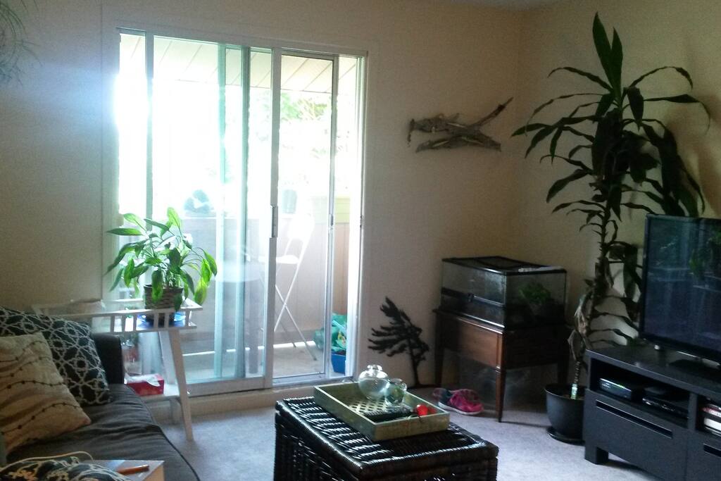 Living room and balcony