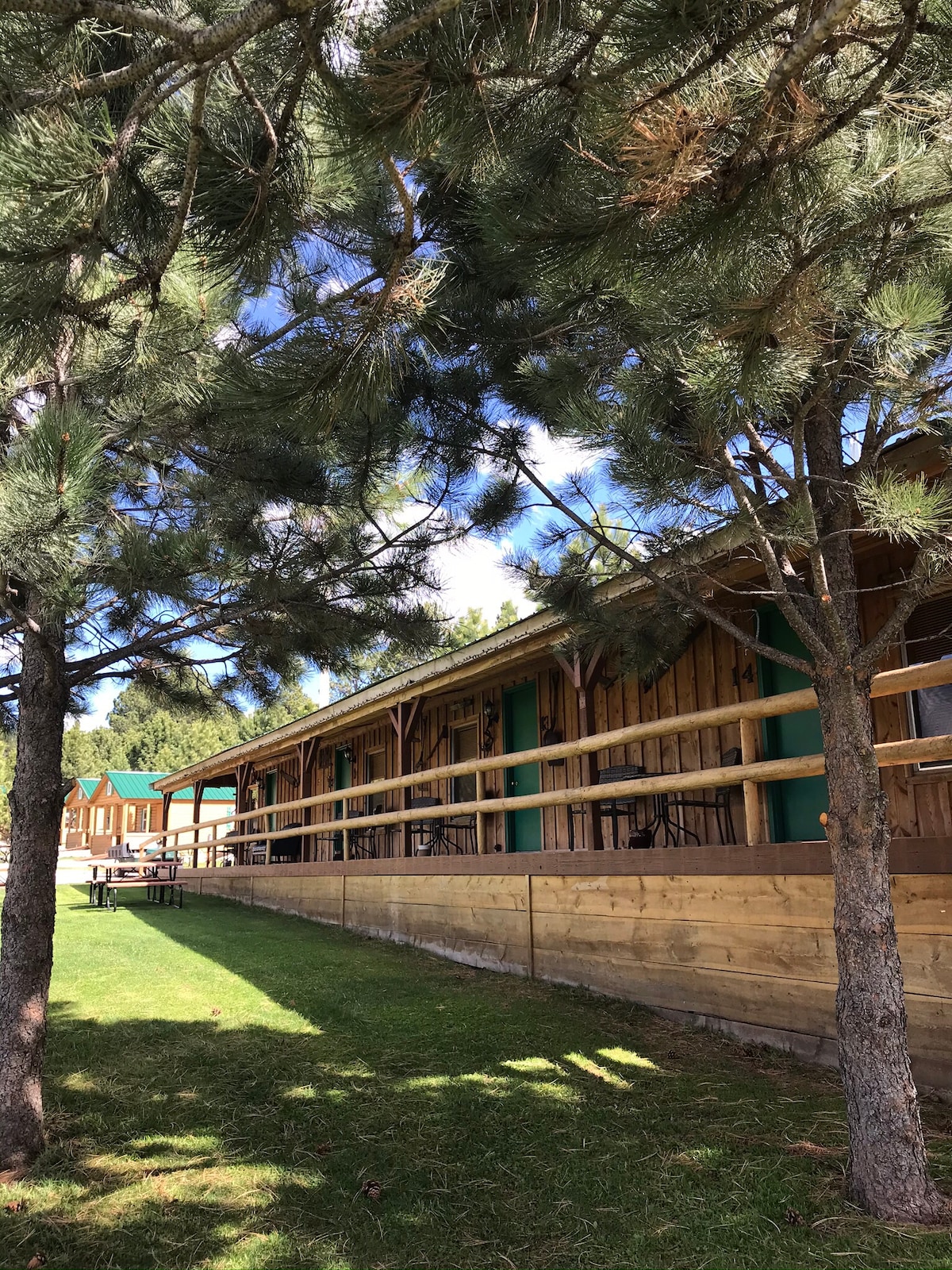 A rustic cabin setting is framed by tall pine trees, revealing a wooden porch with several rocking chairs. The grassy area in the foreground leads up to the cabins, showcasing a serene outdoor space suitable for relaxation.