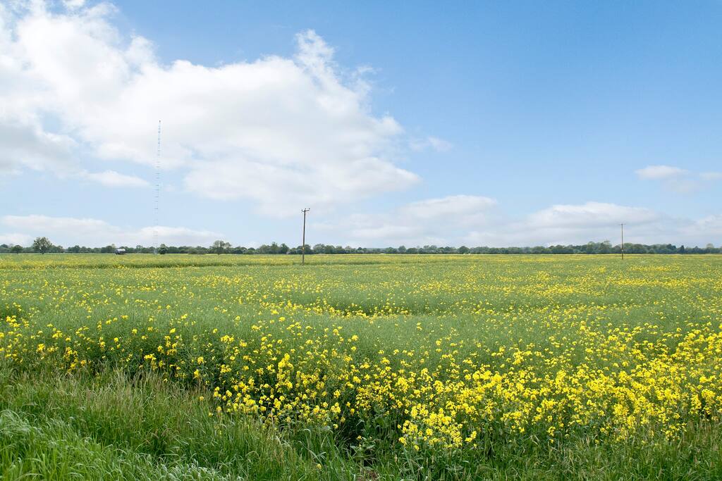 View across the farm