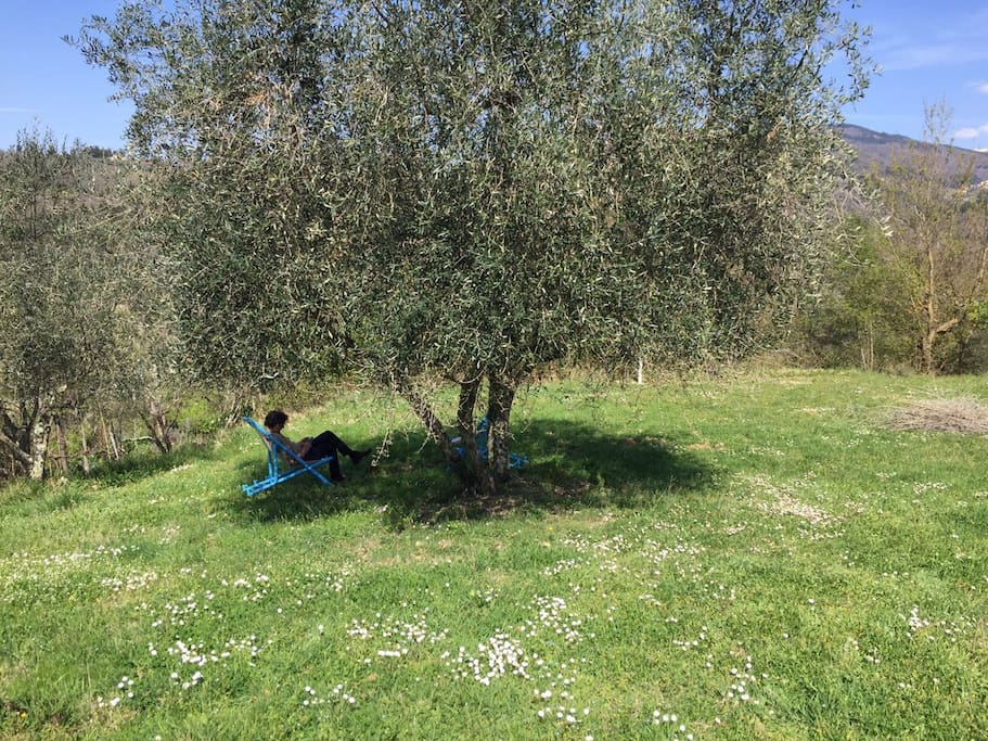 relax place