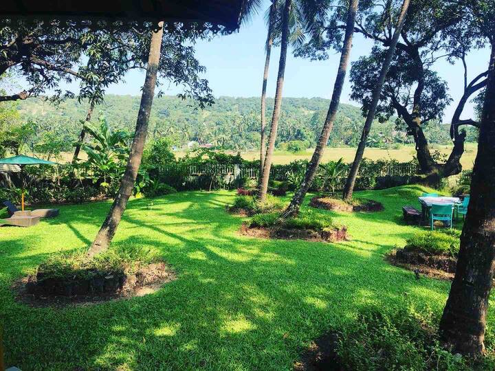 You could use the loungers under the mango tree to read a book or simply sleep in this large serene garden hearing the birds chirp. There is a table with seating in the garden for you to hang out & work or even eat if the weather permits.