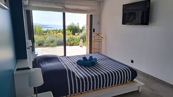 Habitación 1
