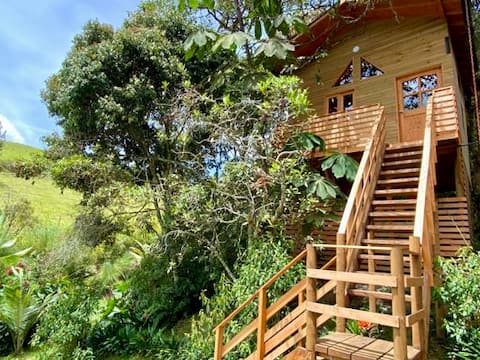 Top performing Airbnb: The House in the Forest in El Retiro
