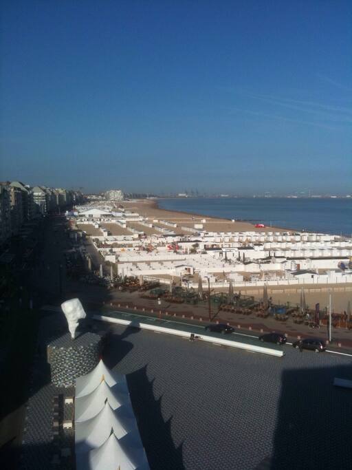 Check the beach before going for a tan and a swim!