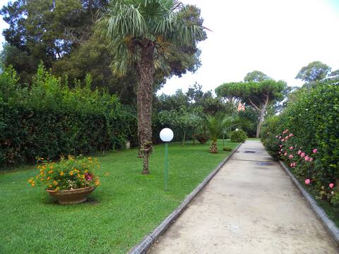 Apartment in the park