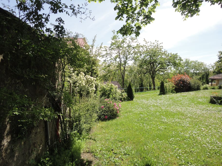 espace devant la maison