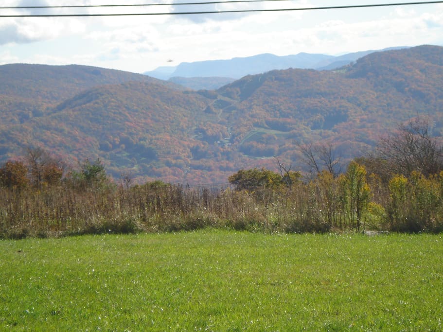 Views from a walk around the property