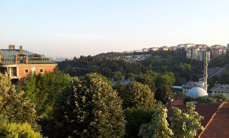 Beautiful Triplex in City Center gallery image 5