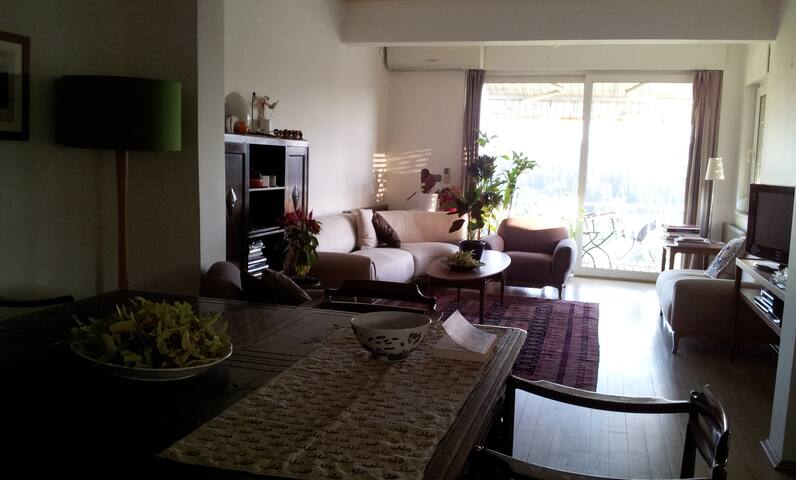 Beautiful Triplex in City Center gallery image 4