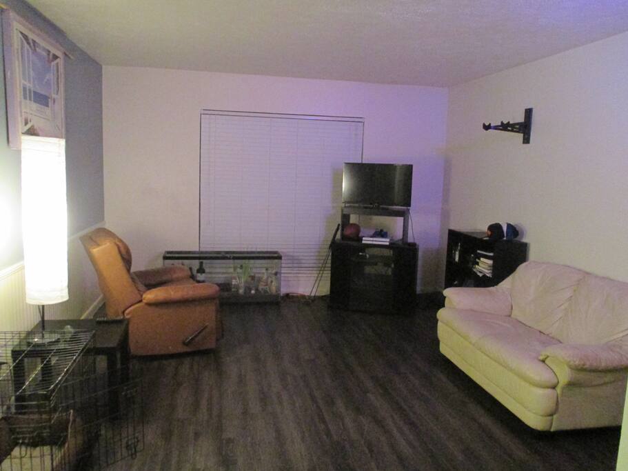 Comfortable clean furniture, and large window in living room, perfect for relaxing