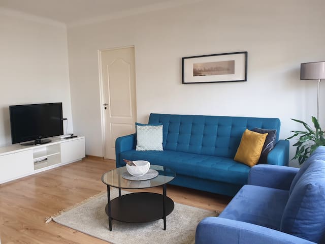 Cozy and spacious apartment in old town