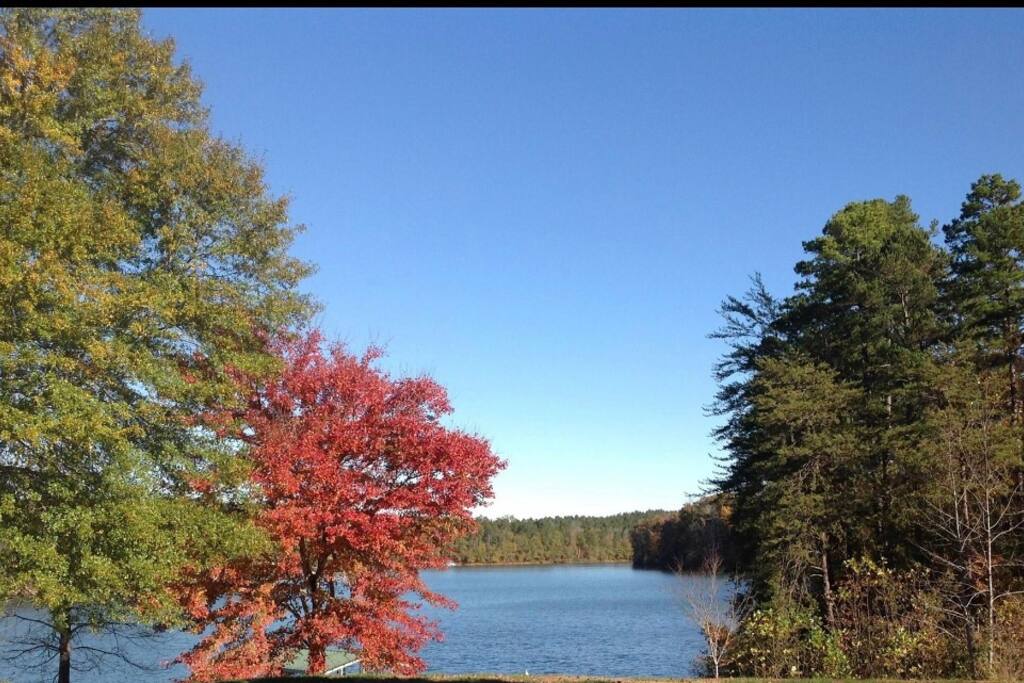 Beautiful Fall Colors, our gorgeous view!