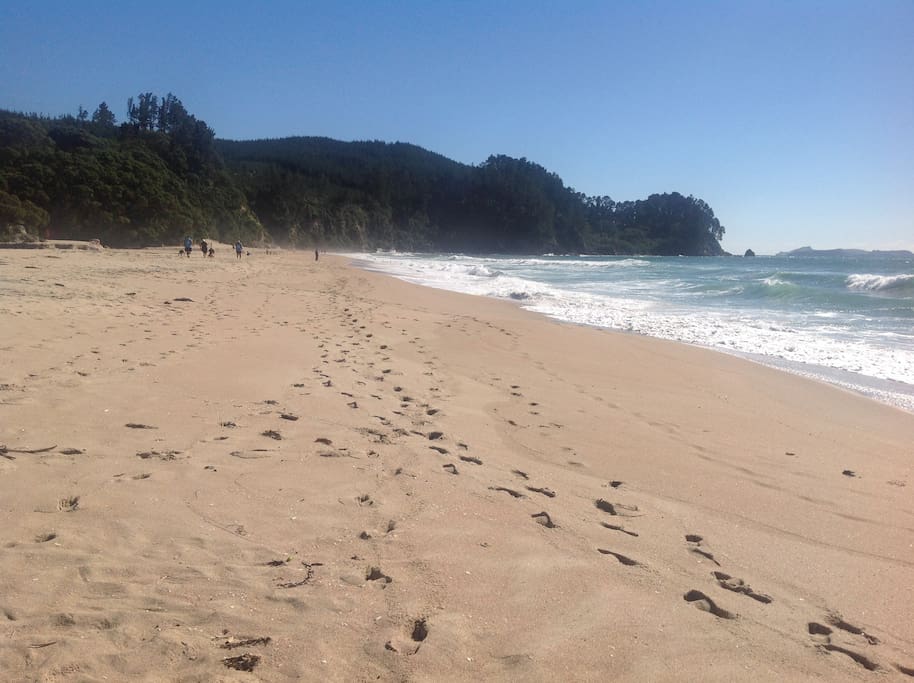 North end of Onemana Beach