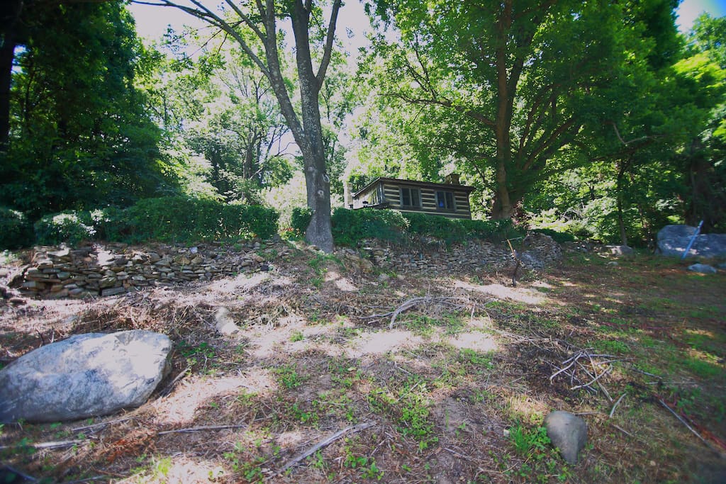 Your home away from home, nestled in the forest