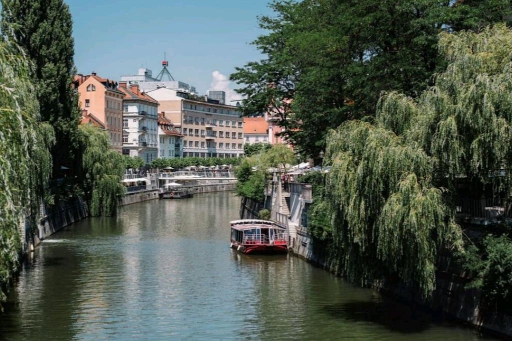 Ljubljanica river