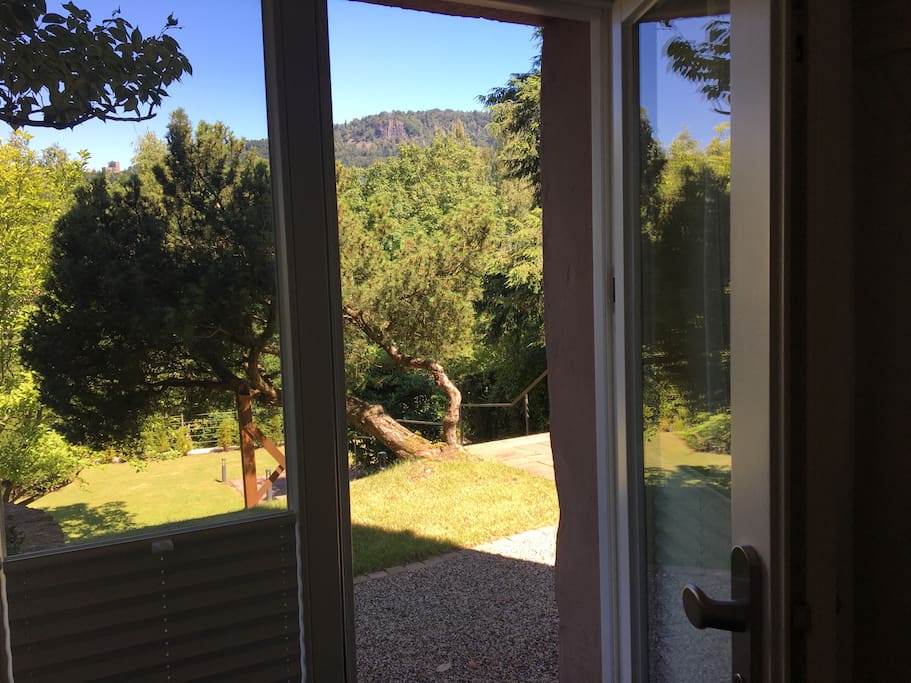 view