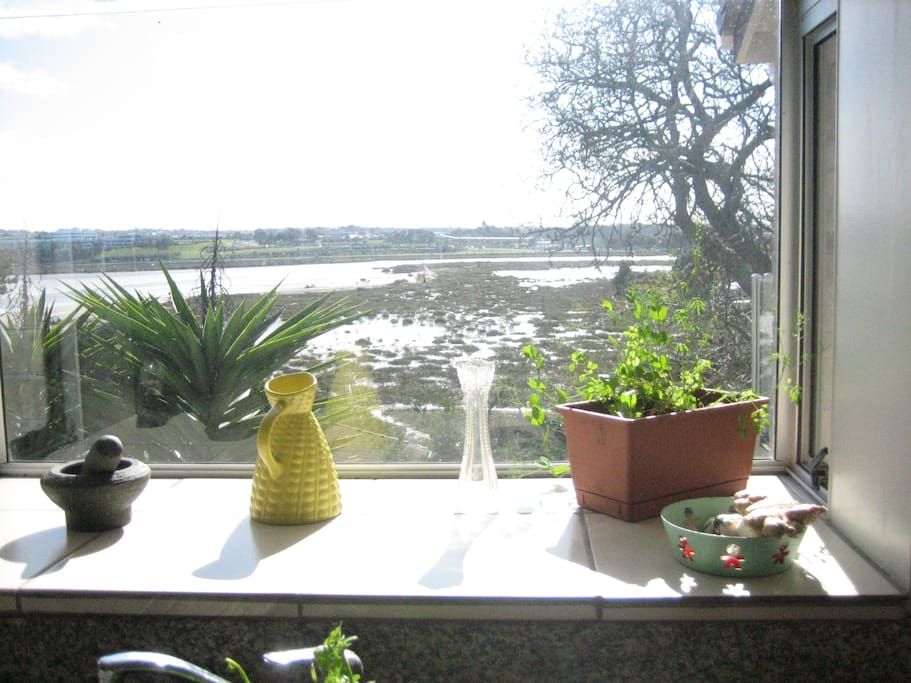 Even the kitchen has good views