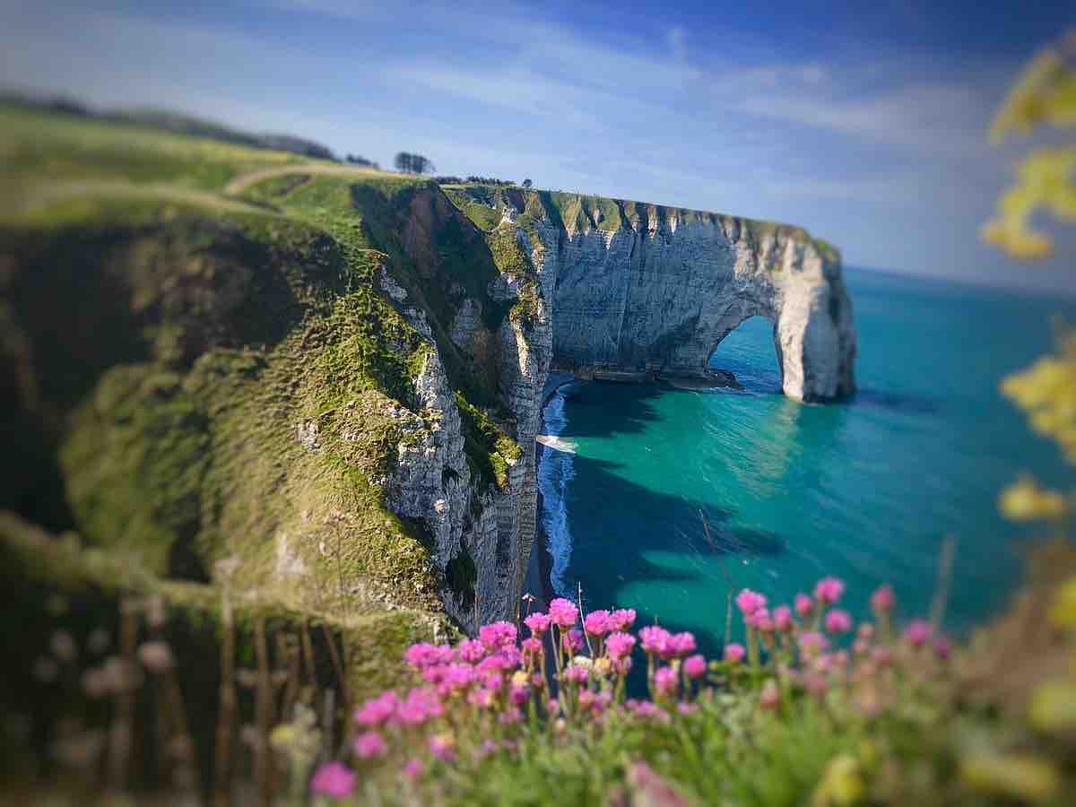 A coastal view features towering cliffs that rise above the bright blue waters. Wildflowers bloom in the foreground, adding color to the landscape, while the natural rock arch stands prominently against the clear sky. The vastness of the ocean contrasts with the rugged coastline.