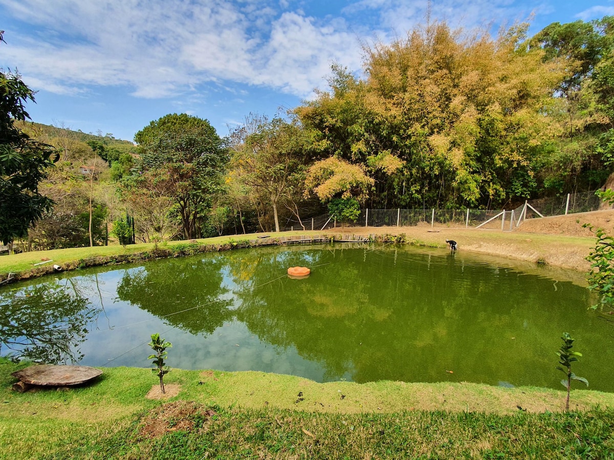A tranquil pond is set among lush greenery, with soft grasses lining its edges. Surrounding trees provide shade and a sense of seclusion. The water is still, reflecting the clear blue sky dotted with a few clouds and creating a peaceful atmosphere.