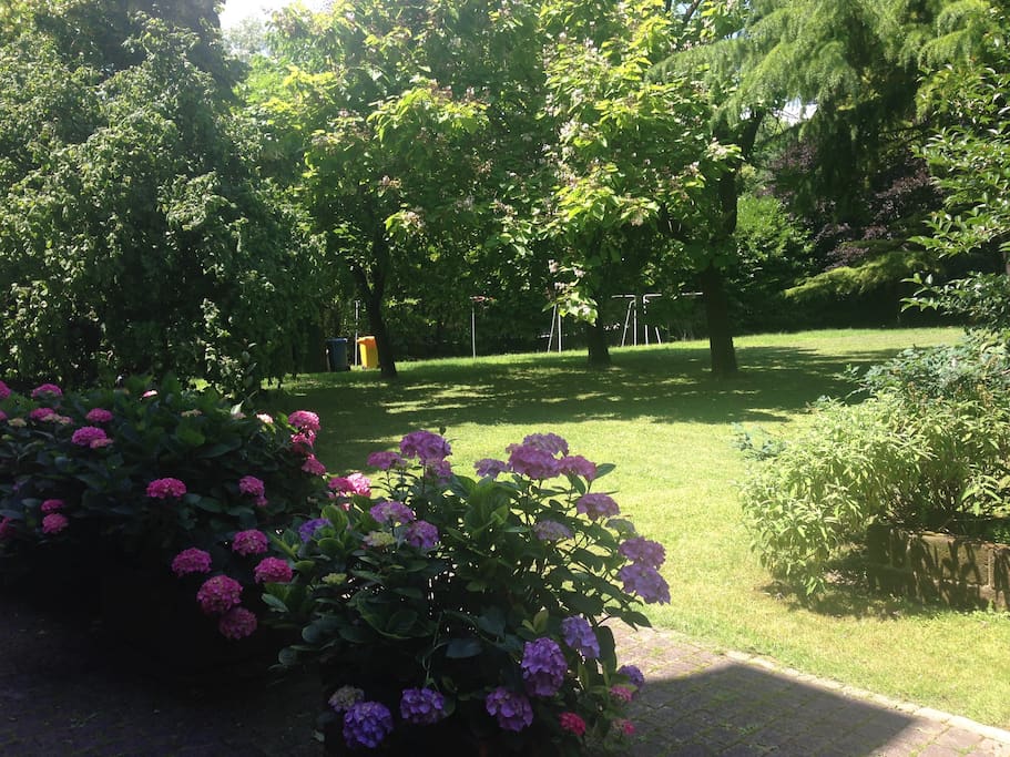 Il giardino