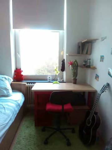 Center, international, cozy Room