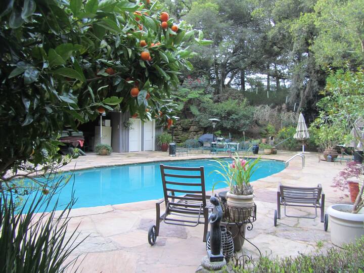 10 Best Airbnbs With Pool In Oakland, California Updated 2024 Trip101