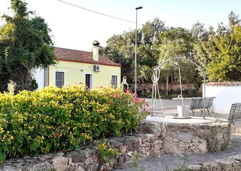 Vacation home 2 km from the sea