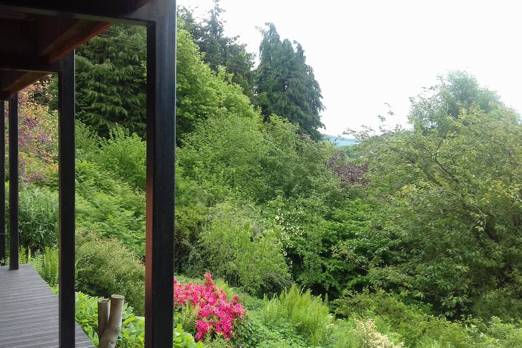 View of the garden from the veranda outside the sitting area