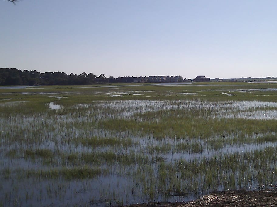 View of a flood tide from the back deck