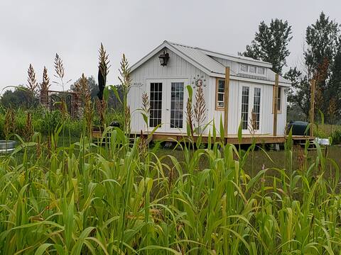 Hastings Charter Township Vacation Rentals Homes Michigan United States Airbnb
