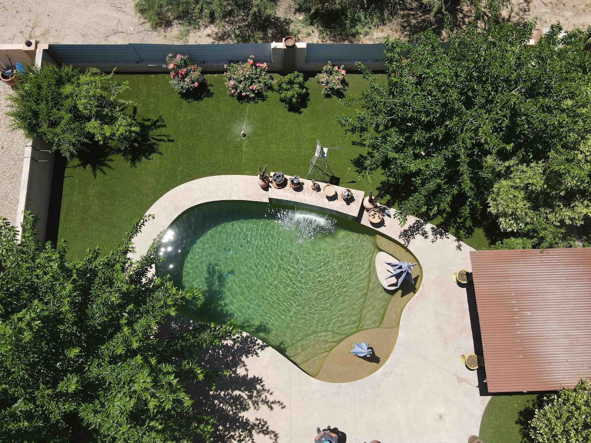 An aerial view of a backyard features a shaped pool surrounded by artificial grass and mature trees. Several potted plants and a shaded area are visible nearby, offering a space for relaxation. The serene ambiance is accentuated by a well-maintained lawn and clear water in the pool.