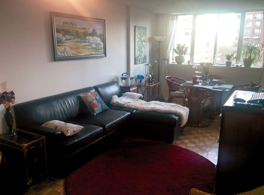 Living Room - Daytime