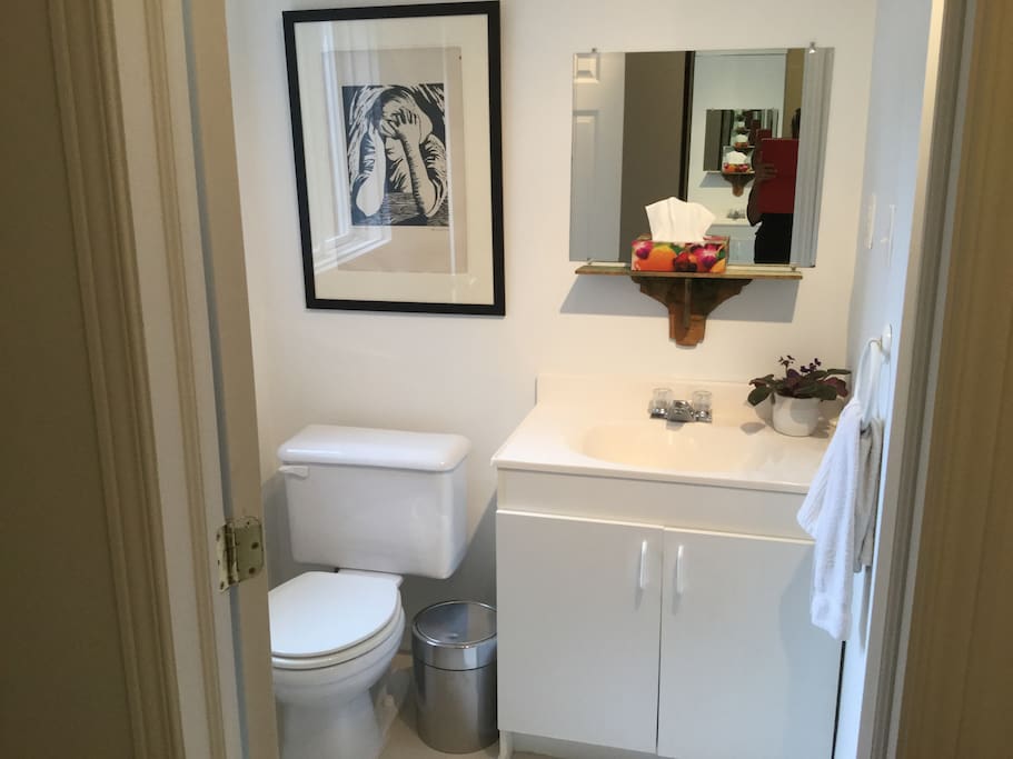 The bathroom