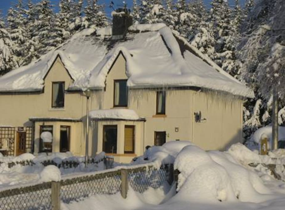 A wintery winter
