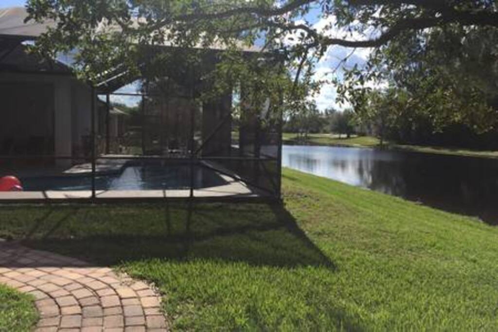 Backyard