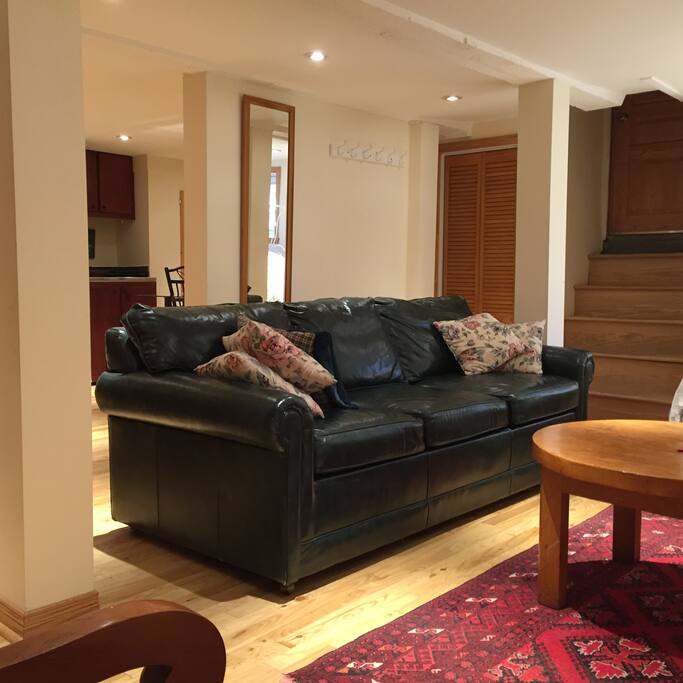 Leather, pull-out couch