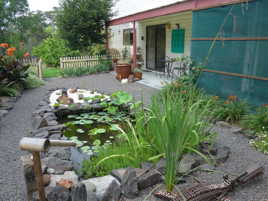 Lotus pond outside B1