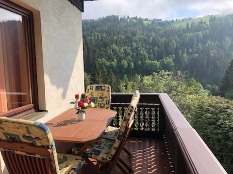 House with garden, dogs welcome!