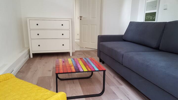 סלון עם ספה נפתחת באיכות גבוהה (1.40 מ' על 2.00 מ') ורהיטי מעצבים